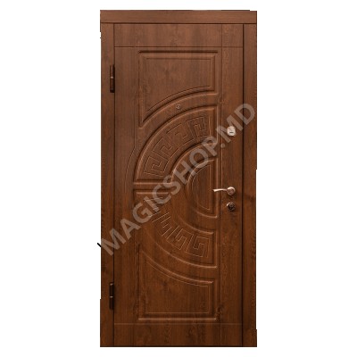 Наружная дверь DIPLOMAT 1E (2050x860x70mm)